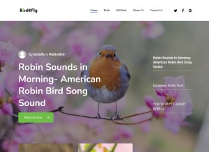 How birdzfly.com looks like on a tablet such as an iPad.