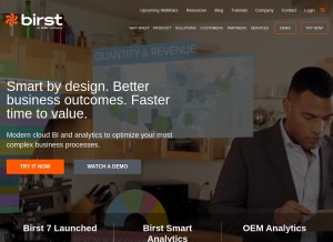 How birst.com looks like on a tablet such as an iPad.