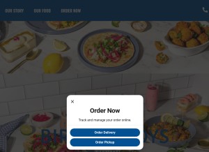 How biryani-boys.com looks like on a tablet such as an iPad.