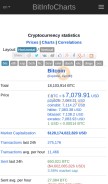 How bitinfocharts.com looks like on a mobile device such as an iPhone.