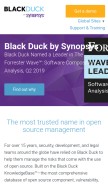 How blackducksoftware.com looks like on a mobile device such as an iPhone.