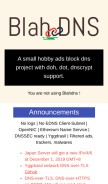How blahdns.com looks like on a mobile device such as an iPhone.