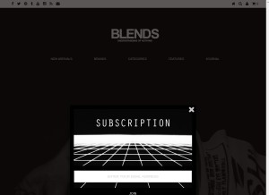How blendsus.com looks like on a tablet such as an iPad.