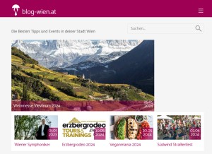 How blog-wien.at looks like on a tablet such as an iPad.