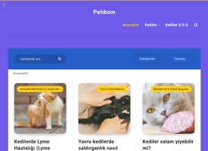 How blog.petibom.com looks like on a tablet such as an iPad.