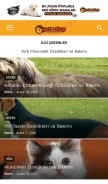 How blog.petzzshop.com looks like on a mobile device such as an iPhone.
