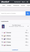 How bluegolf.org looks like on a mobile device such as an iPhone.