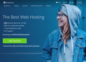 How bluehost-cdn.com looks like on a tablet such as an iPad.