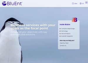 How bluent.com looks like on a tablet such as an iPad.