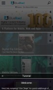 How bluetoad.com looks like on a mobile device such as an iPhone.