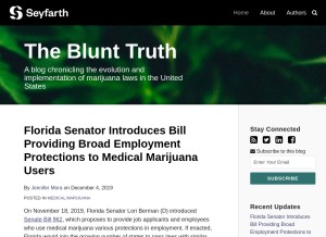 How blunttruthlaw.com looks like on a tablet such as an iPad.