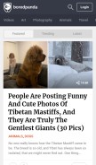How boredpanda.com looks like on a mobile device such as an iPhone.