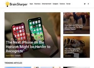 How brain-sharper.com looks like on a tablet such as an iPad.