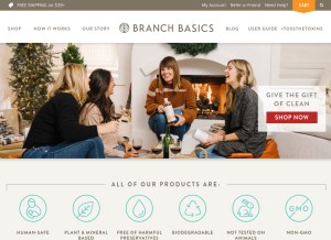 How branchbasics.com looks like on a tablet such as an iPad.