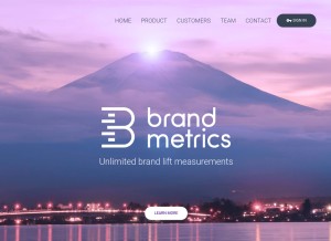 How brandmetrics.com looks like on a tablet such as an iPad.