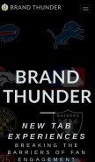 How brandthunder.com looks like on a mobile device such as an iPhone.