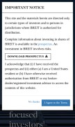 How breit.com looks like on a mobile device such as an iPhone.