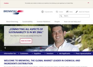 How brenntag.com looks like on a tablet such as an iPad.