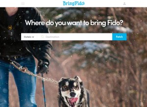 How bringfido.com looks like on a tablet such as an iPad.