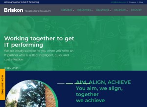 How briskon.com looks like on a tablet such as an iPad.