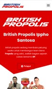 How britishpropolisoffice.com looks like on a mobile device such as an iPhone.