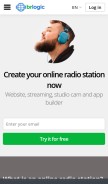How brlogic.com looks like on a mobile device such as an iPhone.