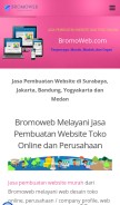How bromoweb.com looks like on a mobile device such as an iPhone.