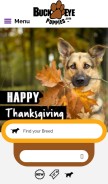 How buckeyepuppies.com looks like on a mobile device such as an iPhone.