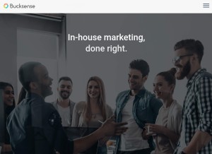 How bucksense.com looks like on a tablet such as an iPad.