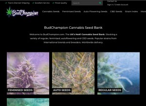 How budchampion.com looks like on a tablet such as an iPad.