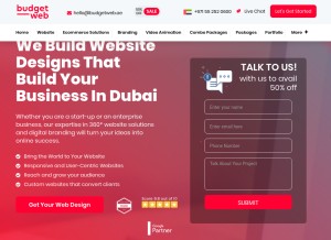 How budgetweb.ae looks like on a tablet such as an iPad.