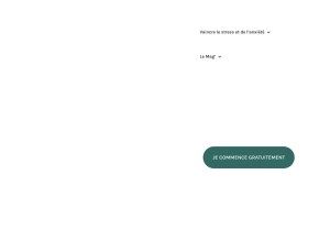 How bulleantistress.com looks like on a tablet such as an iPad.