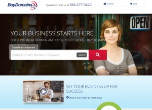 How buydomains.com looks like on a tablet such as an iPad.