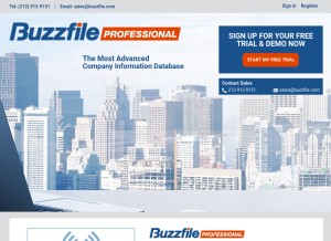 How buzzfilepro.com looks like on a tablet such as an iPad.
