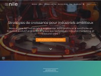 Desktop screenshot for agencenile.com