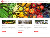 Desktop screenshot for cswg.com