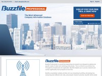 Desktop screenshot for buzzfilepro.com