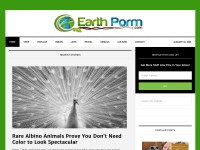 Desktop screenshot for earthporm.com