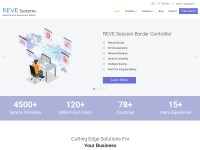 Desktop screenshot for revesoft.com