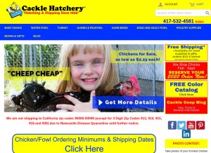 How cacklehatchery.com looks like on a tablet such as an iPad.