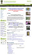 How cactuspro.com looks like on a mobile device such as an iPhone.