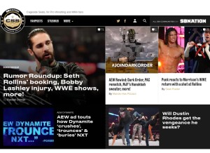 How cagesideseats.com looks like on a tablet such as an iPad.