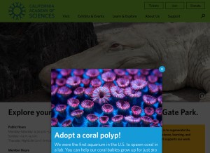 How calacademy.org looks like on a tablet such as an iPad.