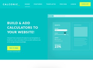 How calconic.com looks like on a tablet such as an iPad.