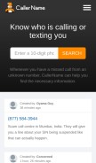 How callername.com looks like on a mobile device such as an iPhone.