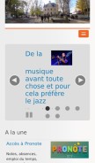 How camillejullian.com looks like on a mobile device such as an iPhone.