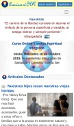How caminosalser.com looks like on a mobile device such as an iPhone.
