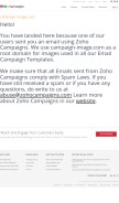 How campaign-image.com looks like on a mobile device such as an iPhone.