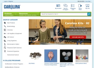 How carolina.com looks like on a tablet such as an iPad.