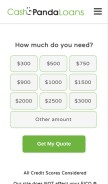 How cashpandaloans.com looks like on a mobile device such as an iPhone.